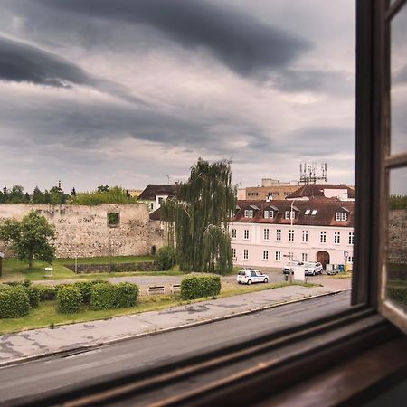 Guesthouse Zlaty Hrozen Česká Lípa Esterno foto