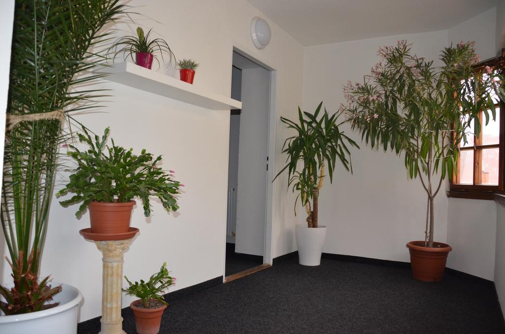 Guesthouse Zlaty Hrozen Česká Lípa Esterno foto
